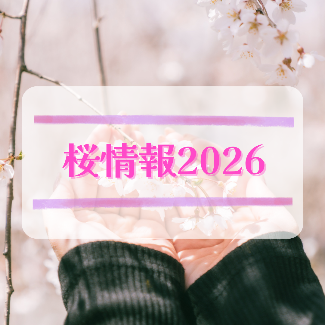 桜情報2026