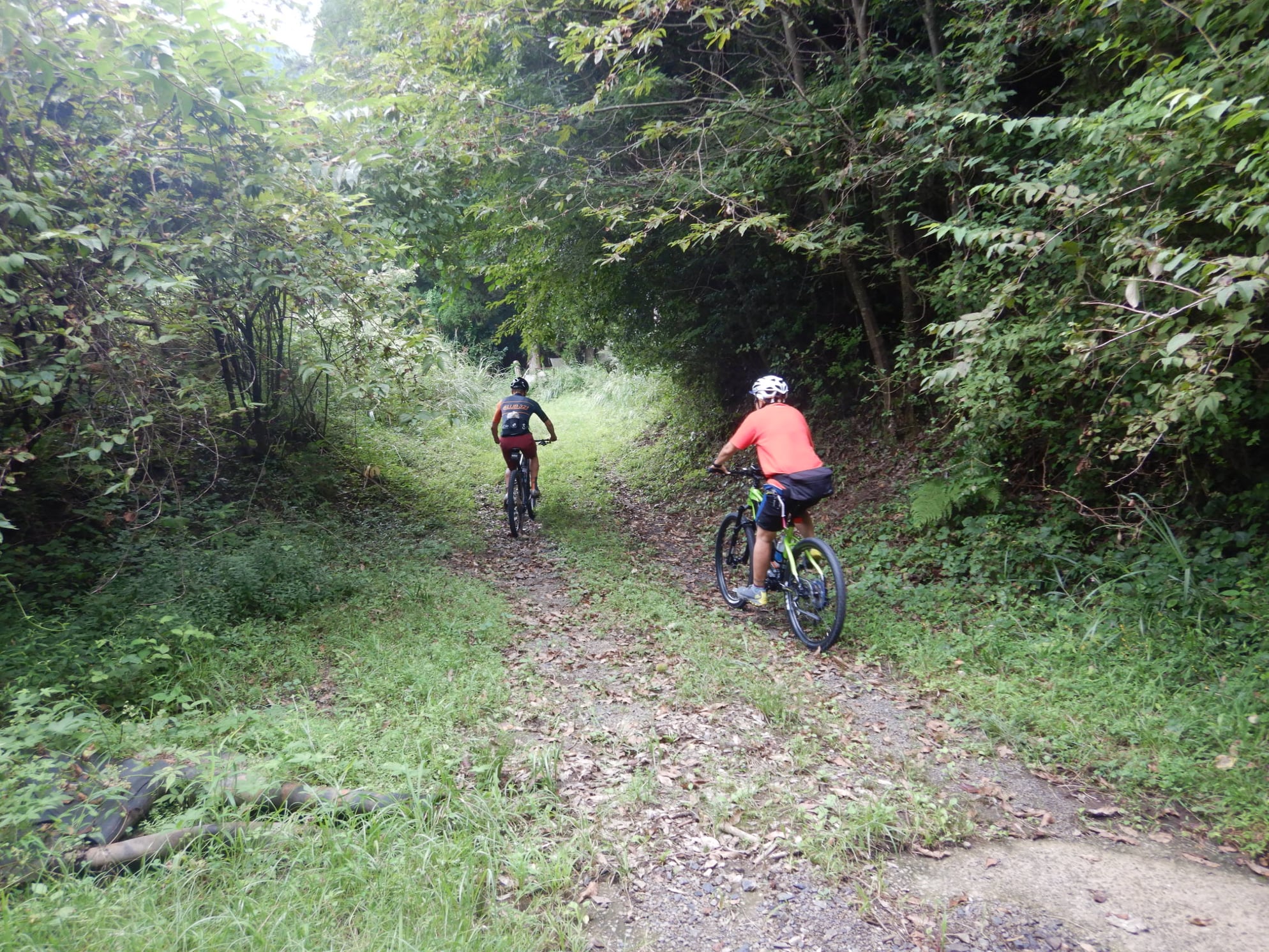 e-bike