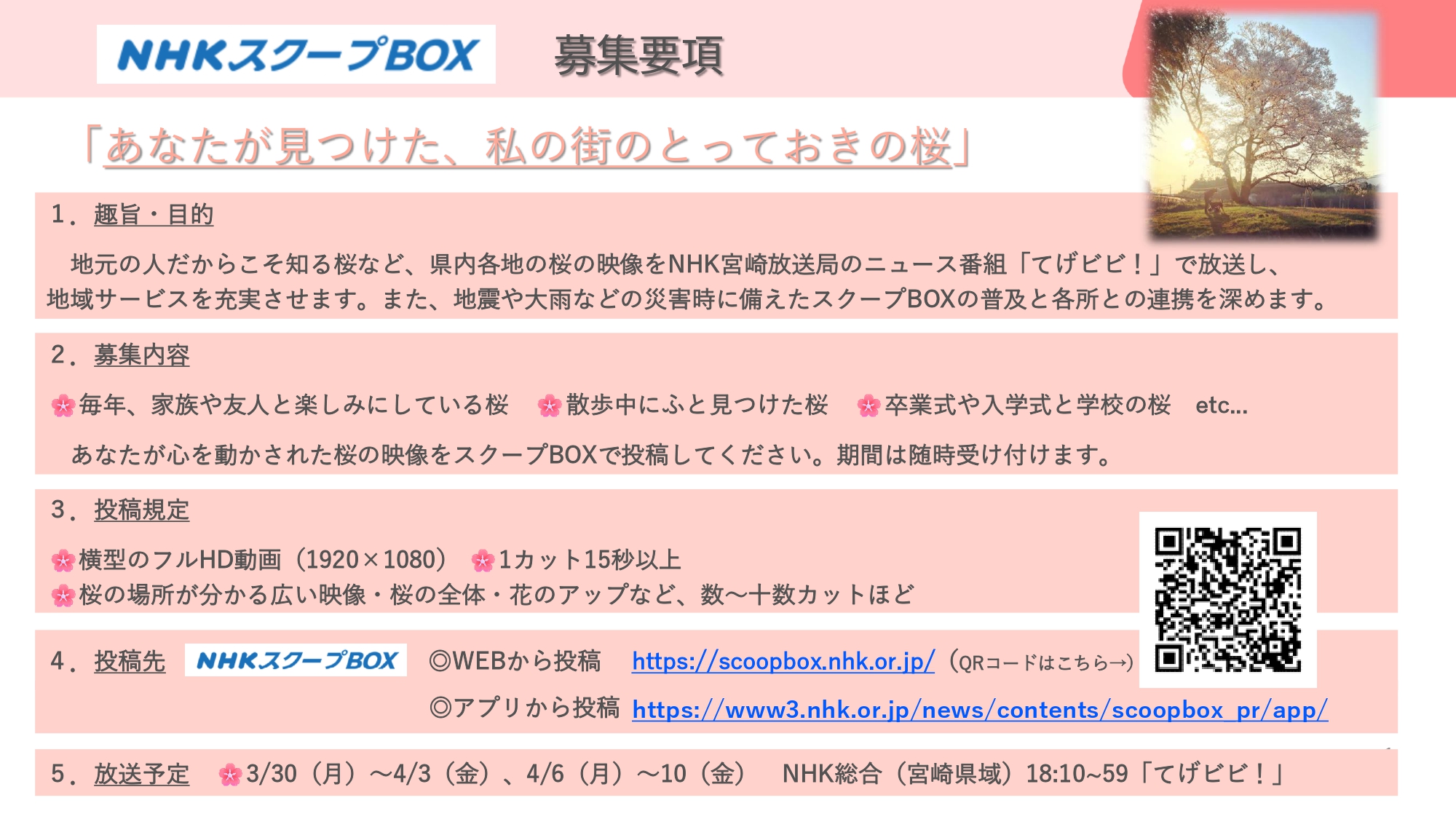 NHKスクープBOX