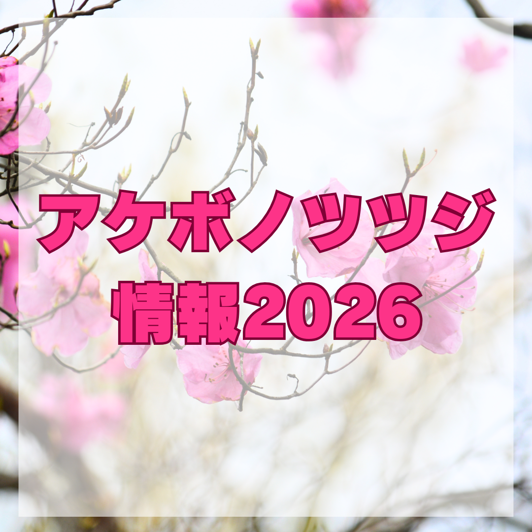 アケボノツツジ