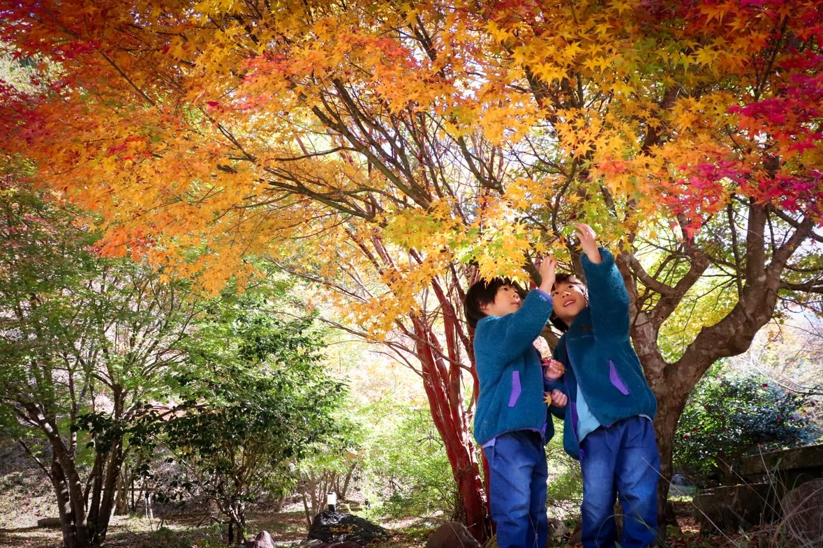 ごかせ紅葉2025銅賞