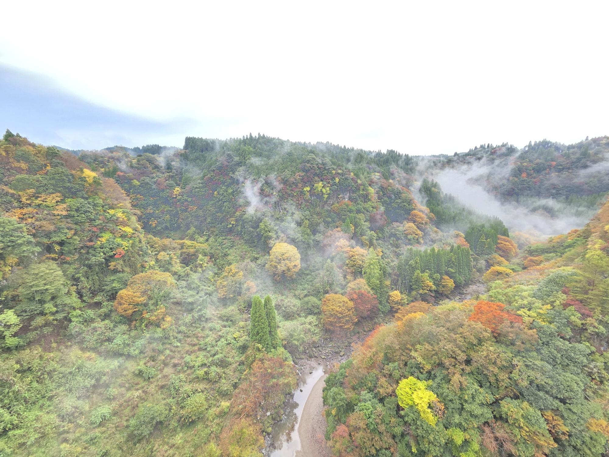 ごかせ紅葉2025銀賞
