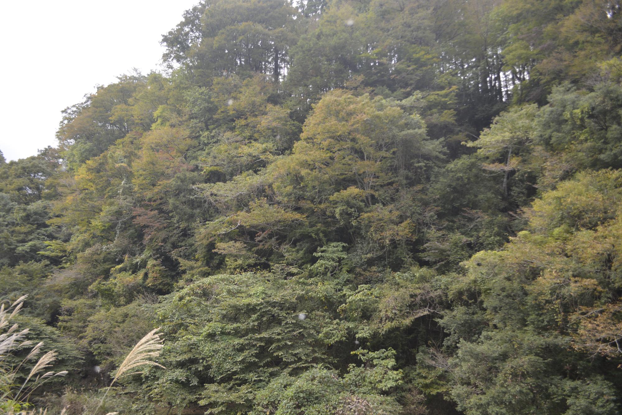五ヶ瀬渓谷