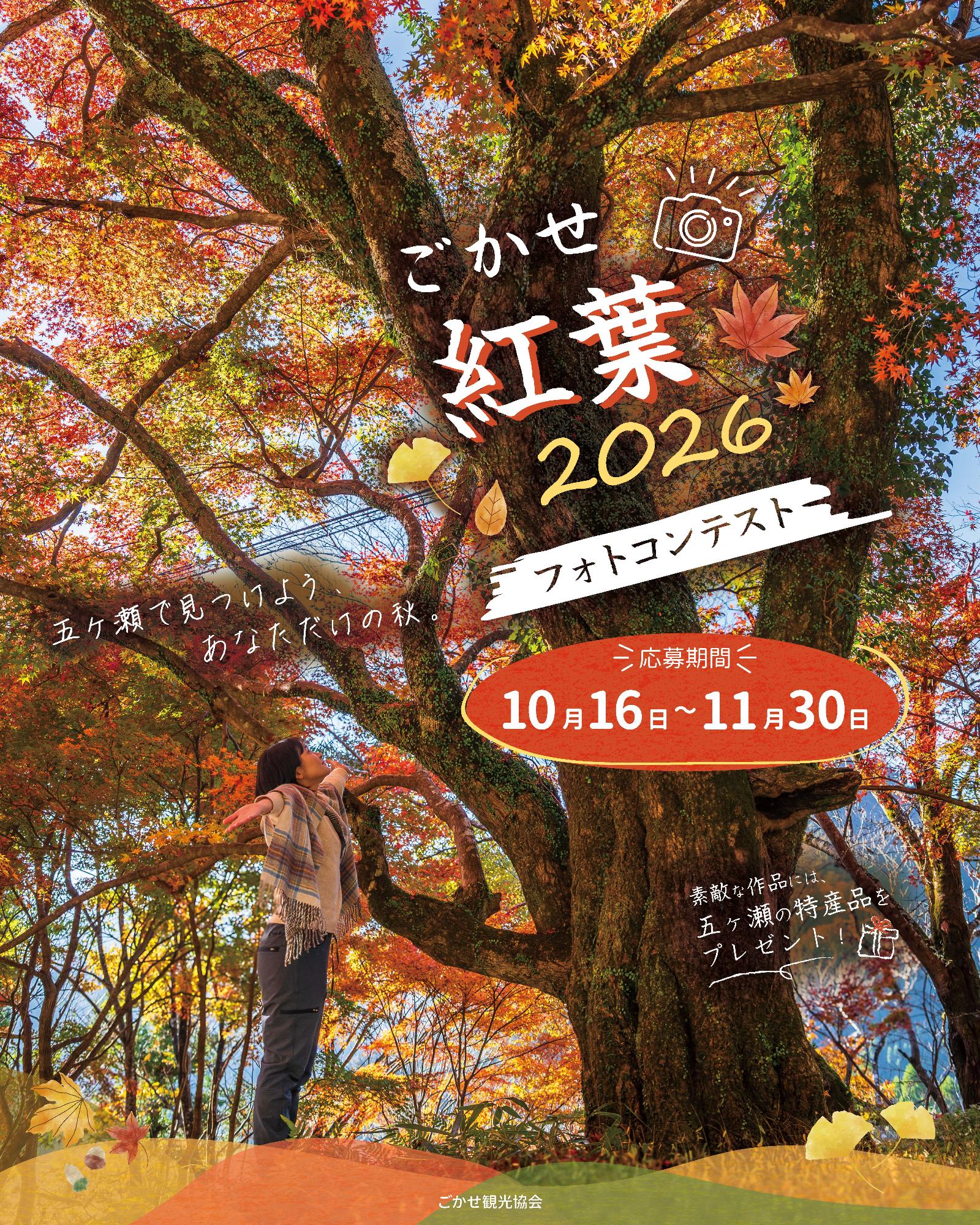 ごかせ紅葉2026