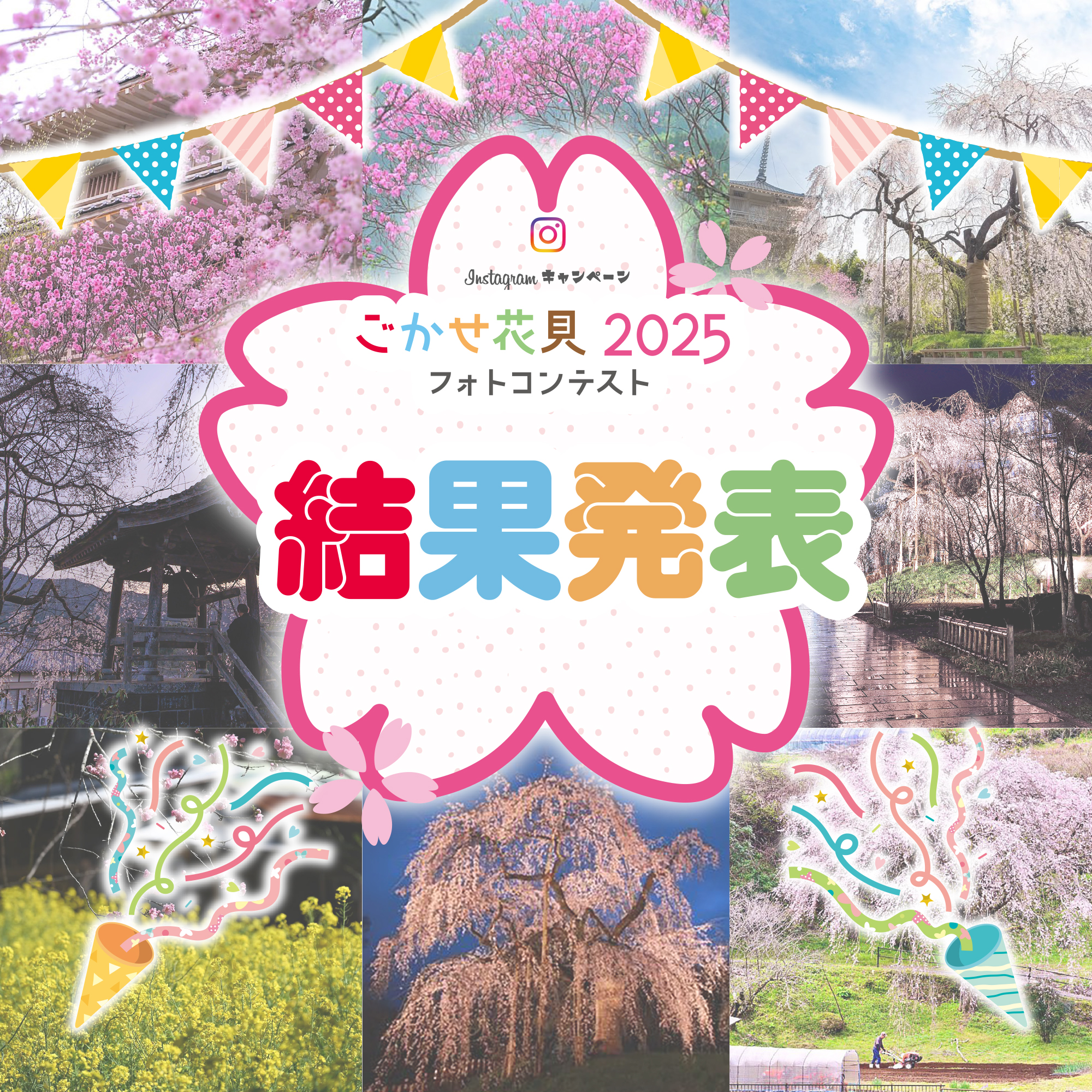 ごかせ花見2025結果発表