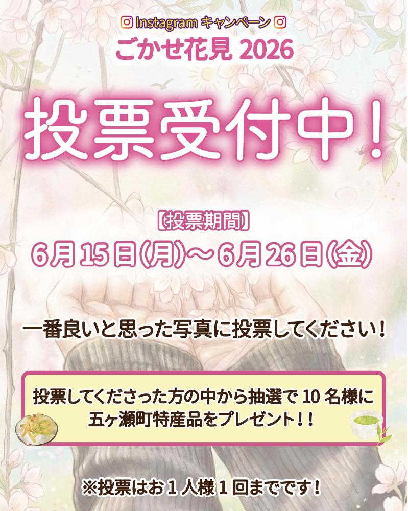 ごかせ花見2026投票