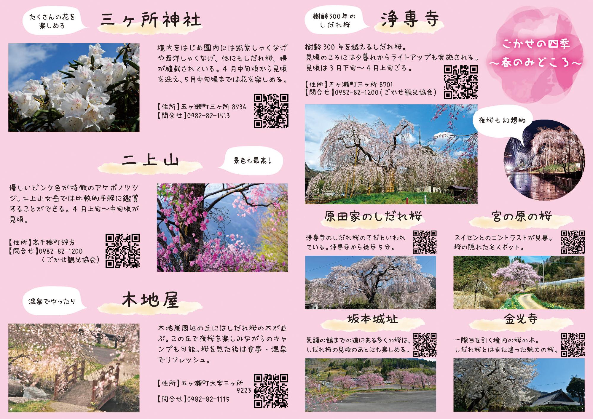 春のみどころ
