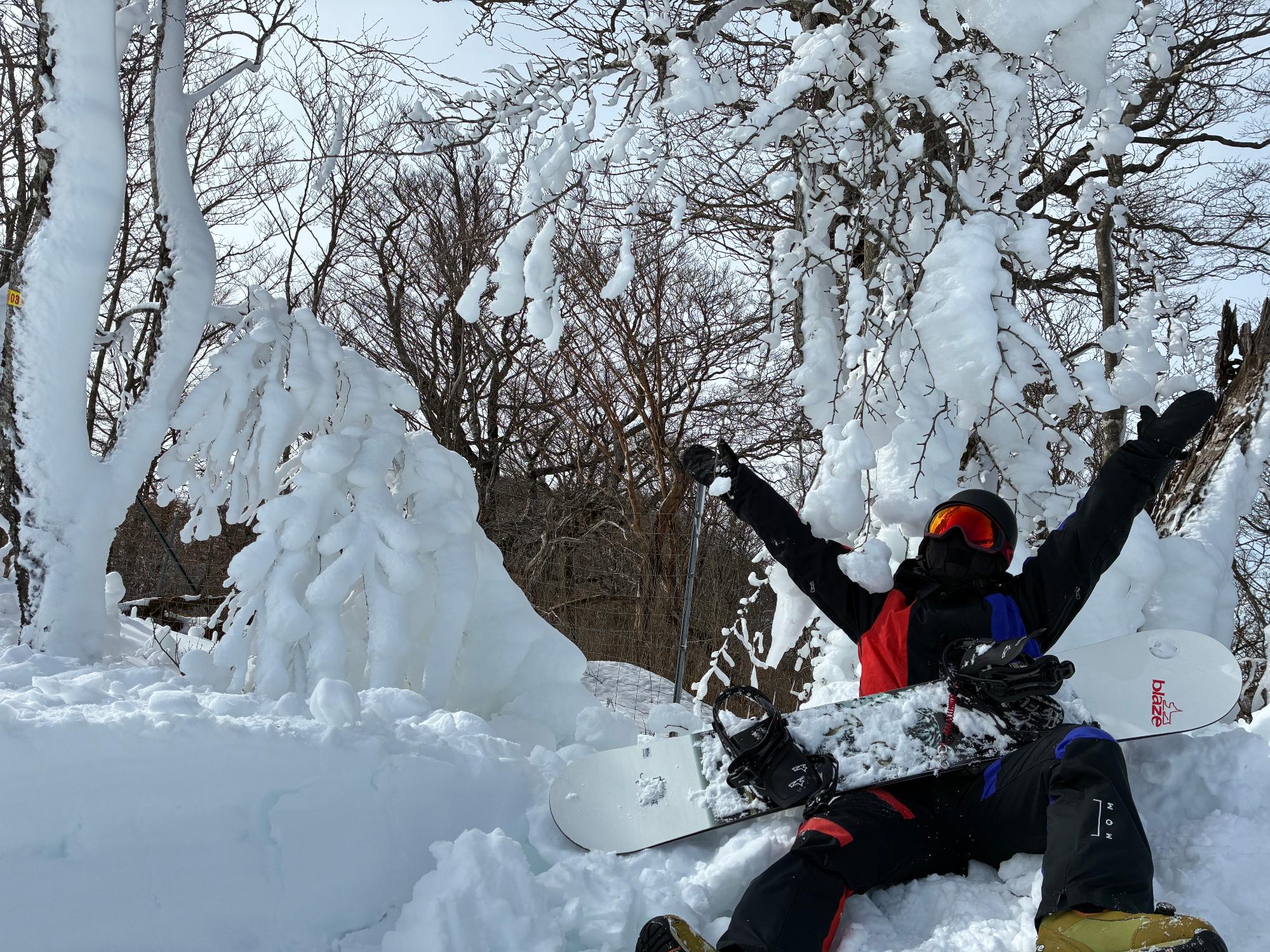 冬のごかせ2026金賞