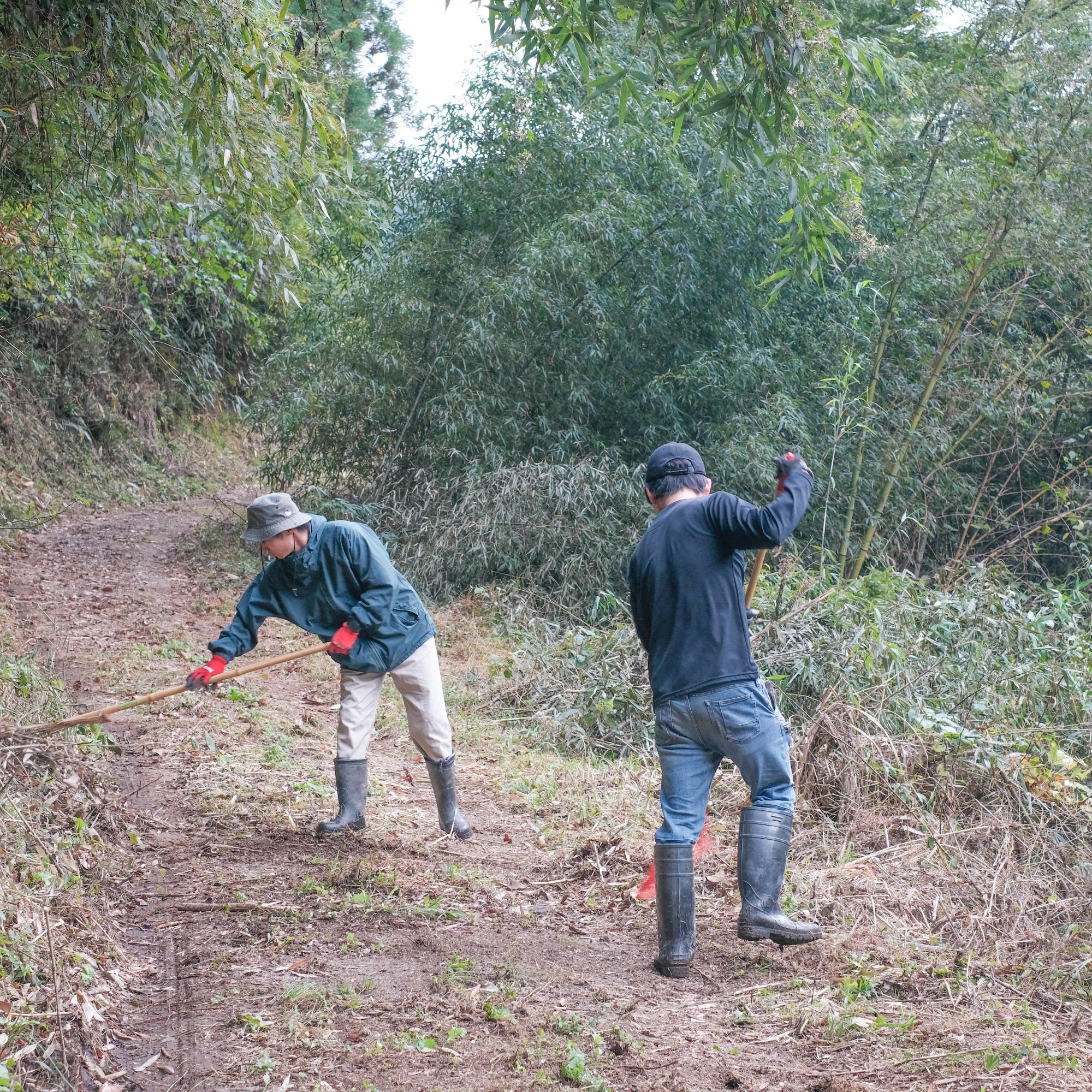 カタラウスタンドプロジェクト