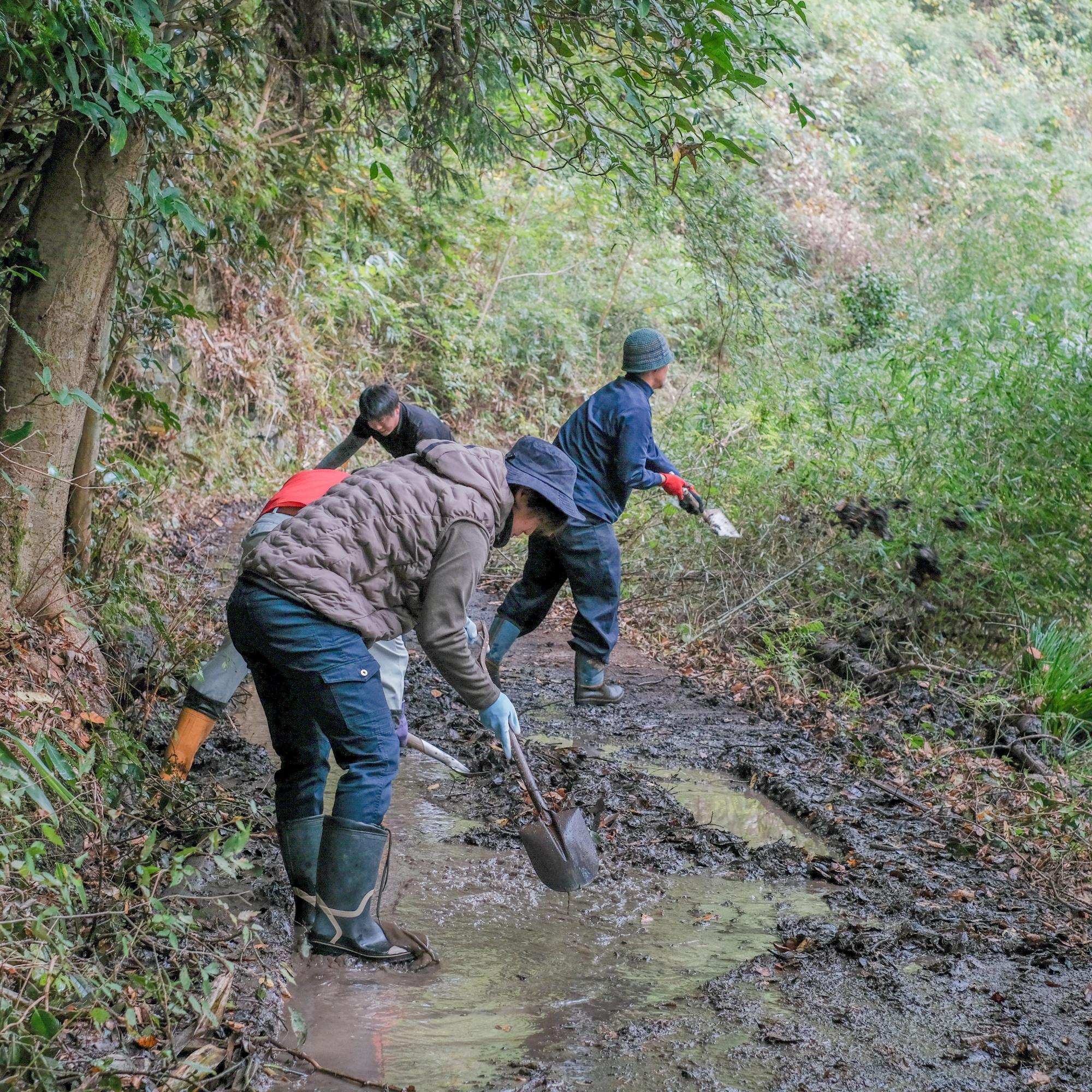 カタラウスタンドプロジェクト