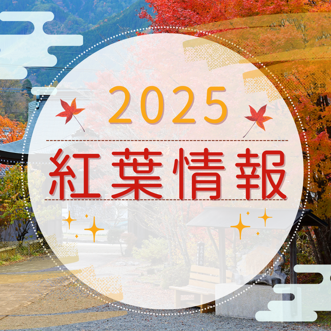 紅葉情報2025