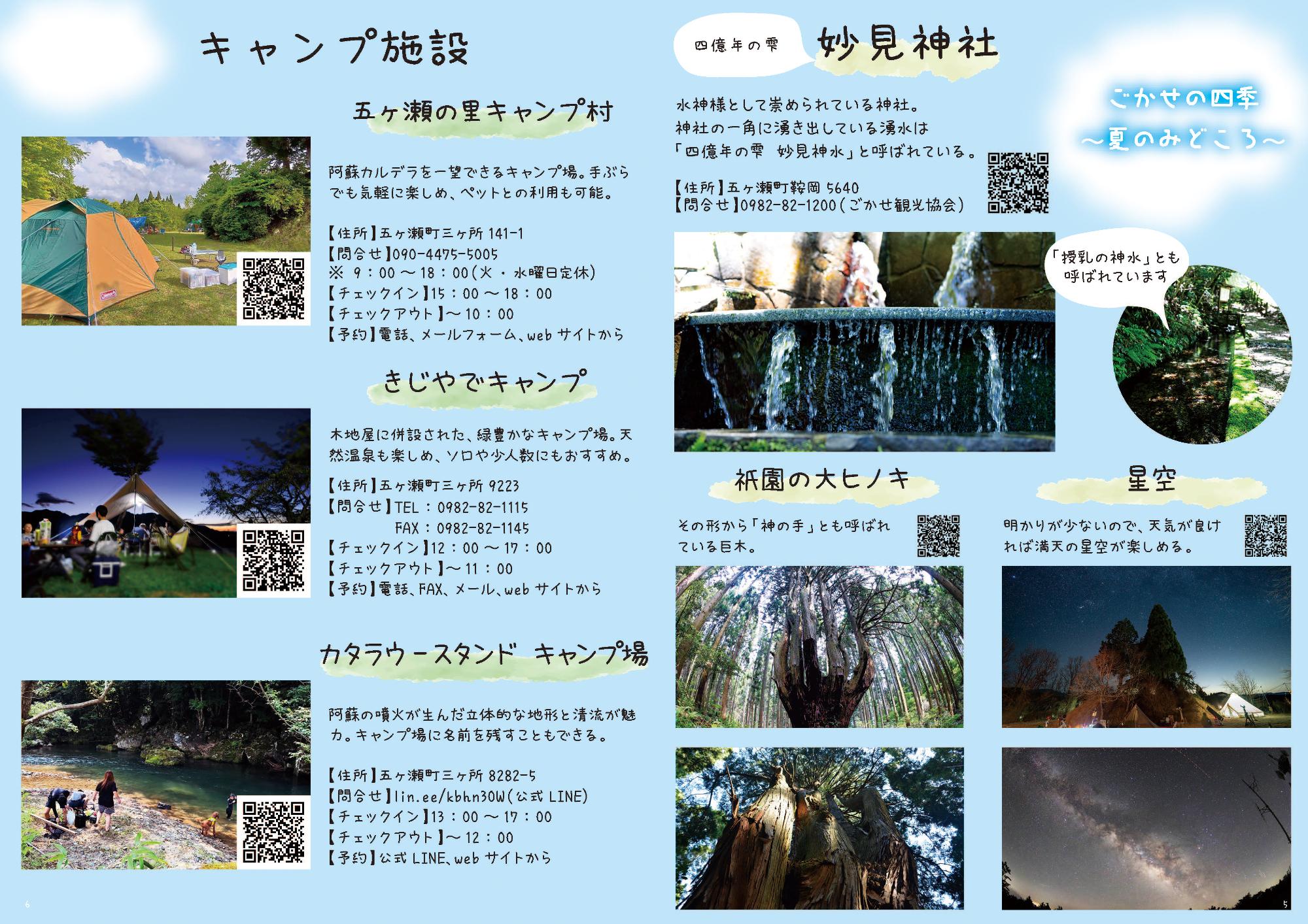 夏のみどころ