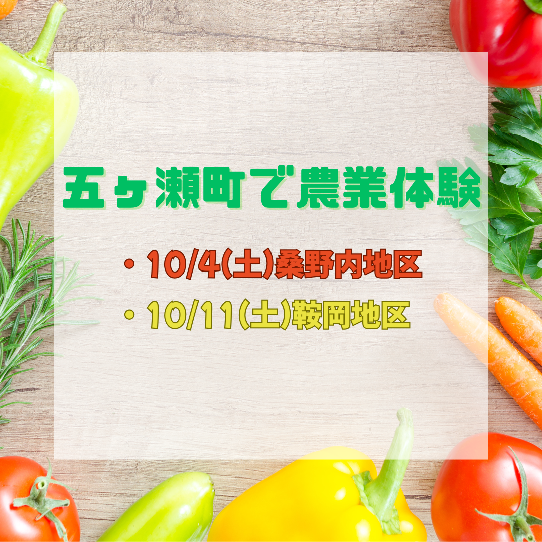 農業体験