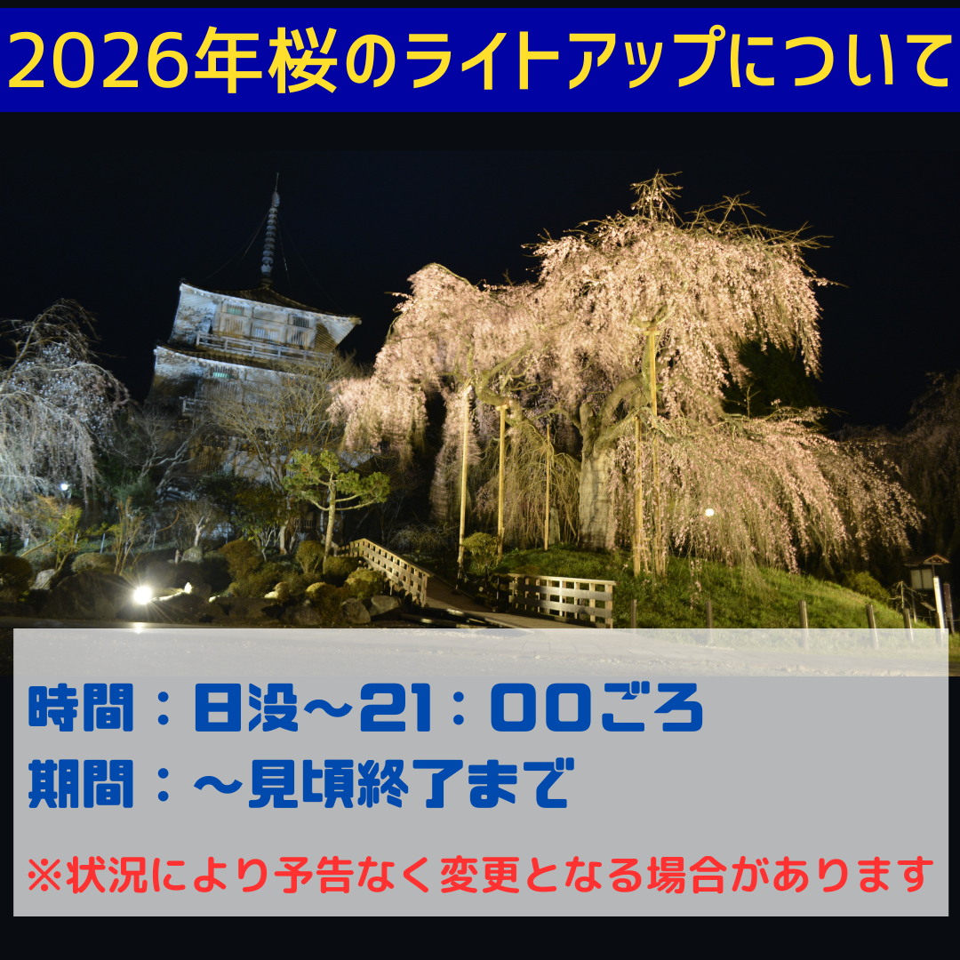 桜ライトアップ2026