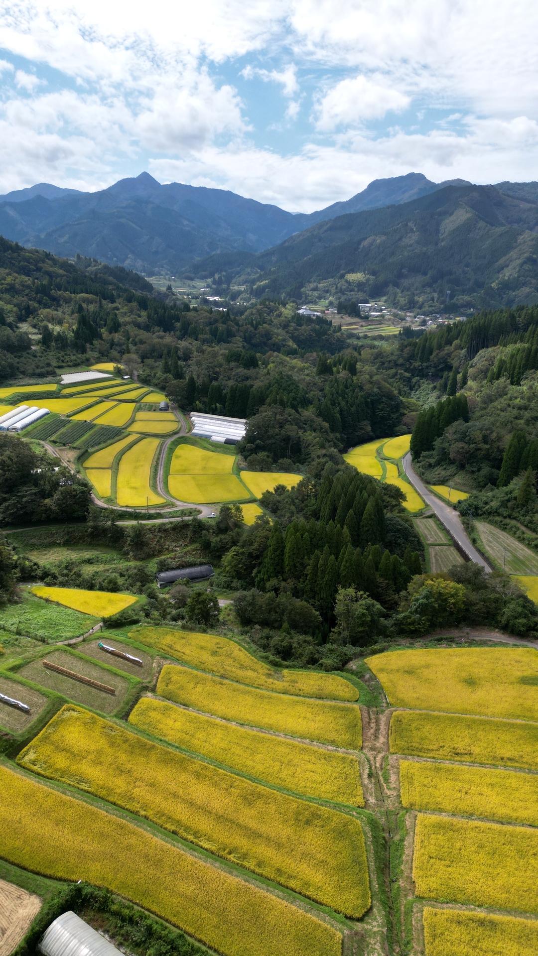 下の原棚田