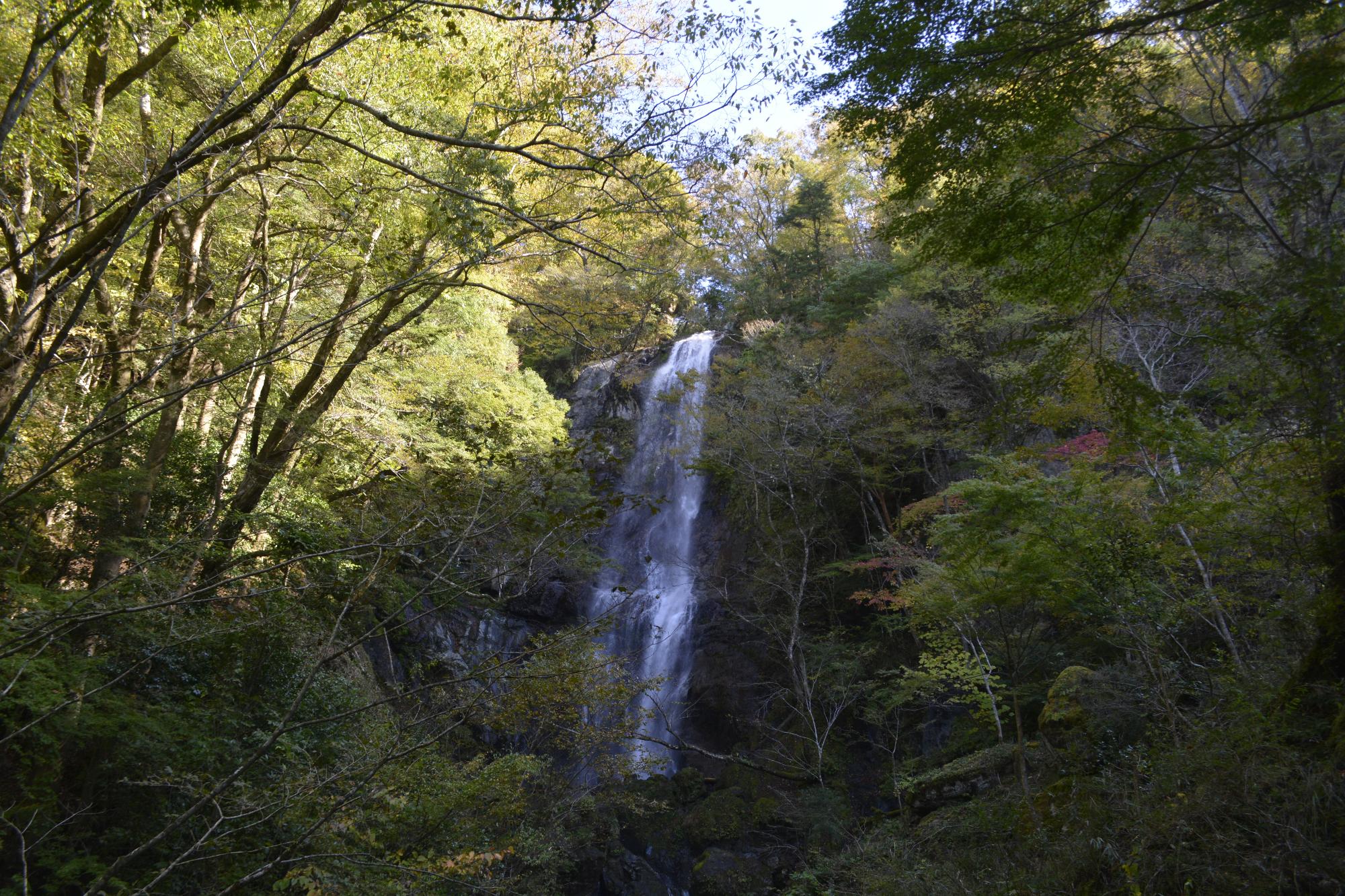 白滝