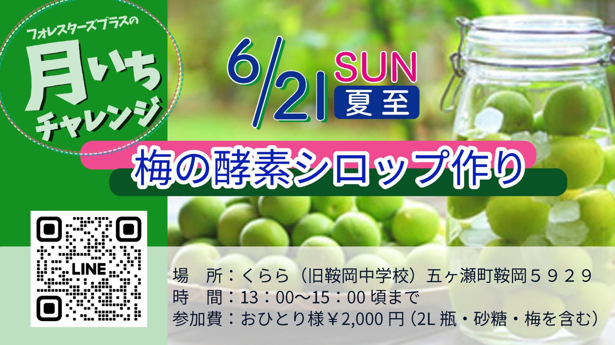 梅の酵素シロップ作り