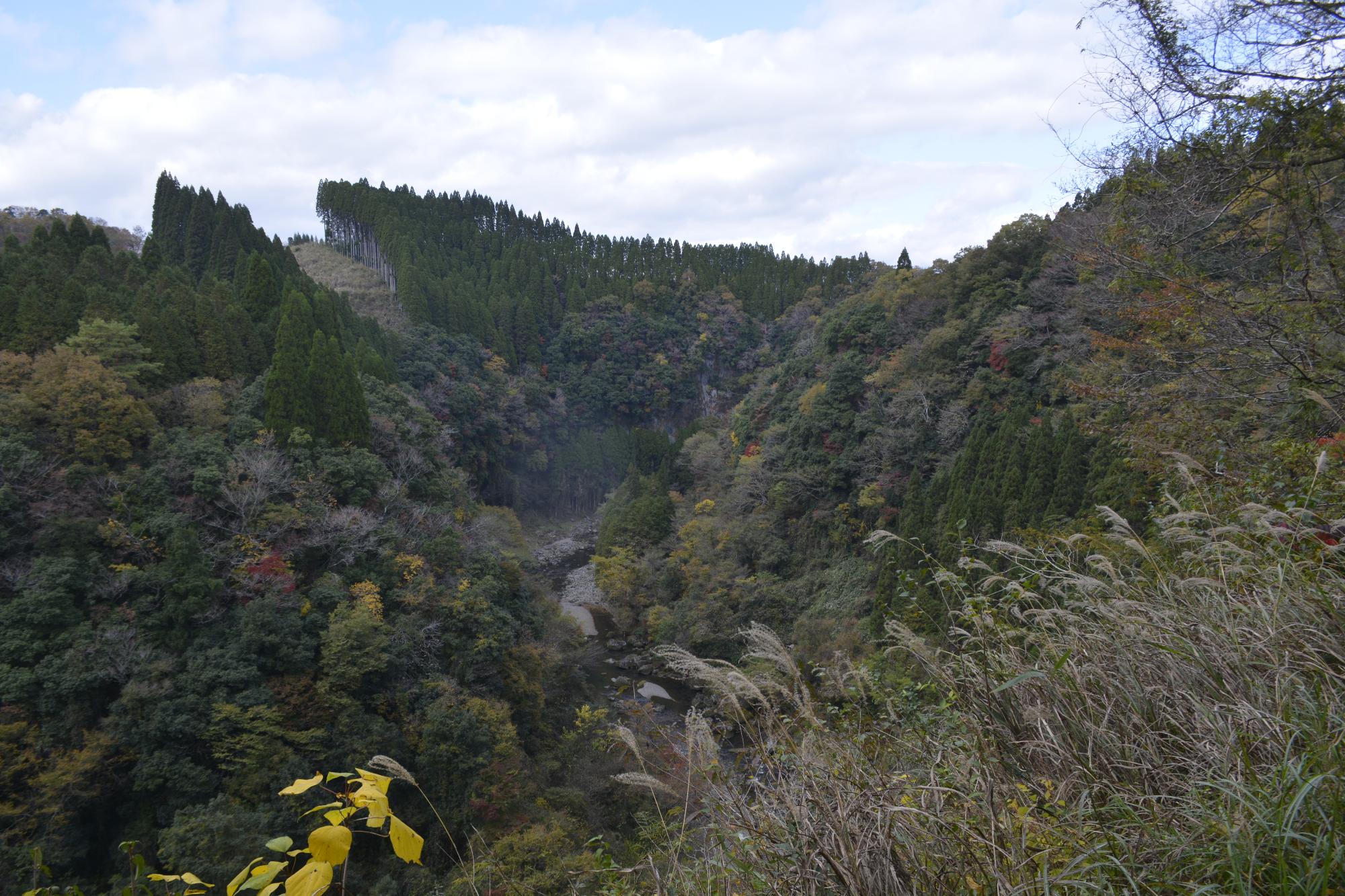 うのこの滝11.18-2