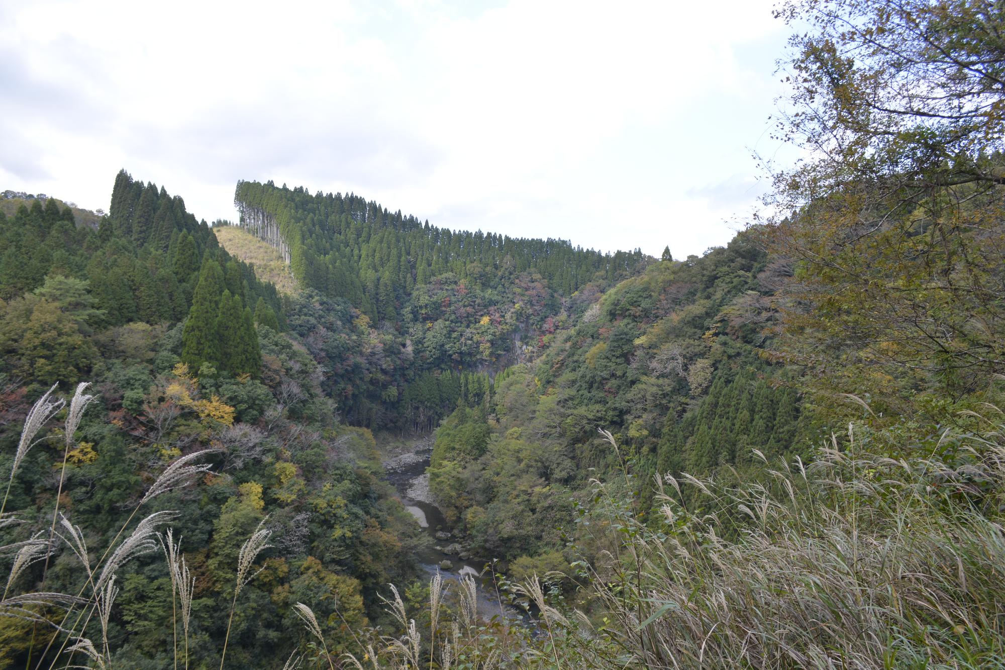 うのこの滝