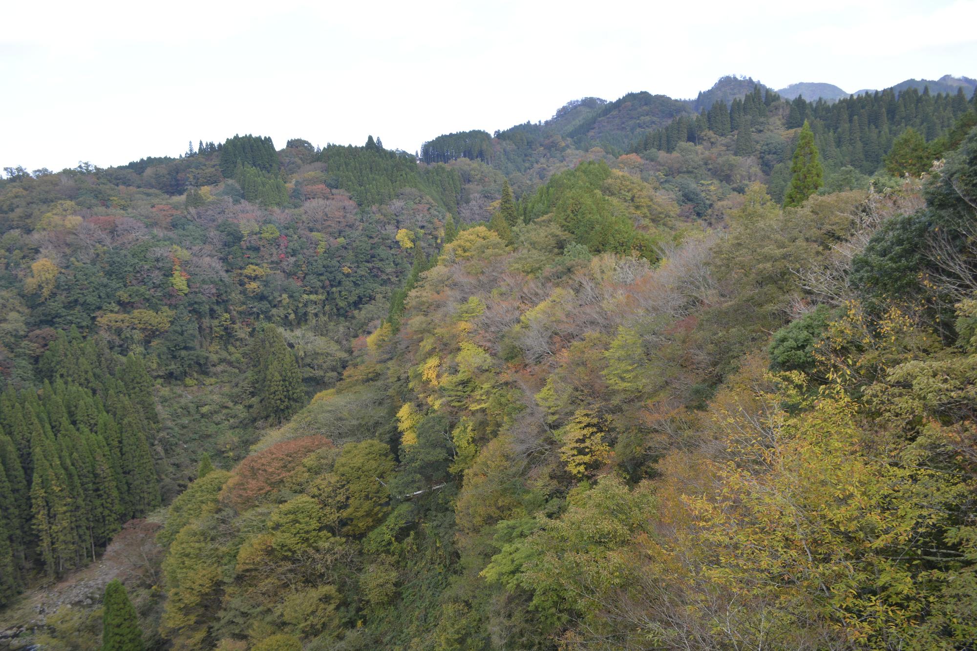 夕日の里大橋