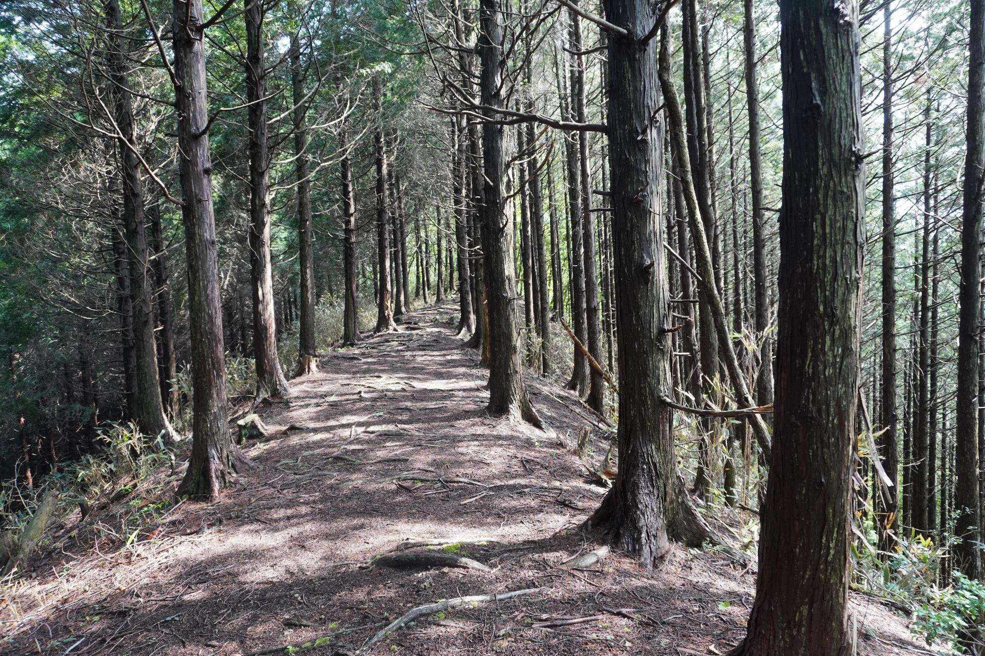 祇園山山道