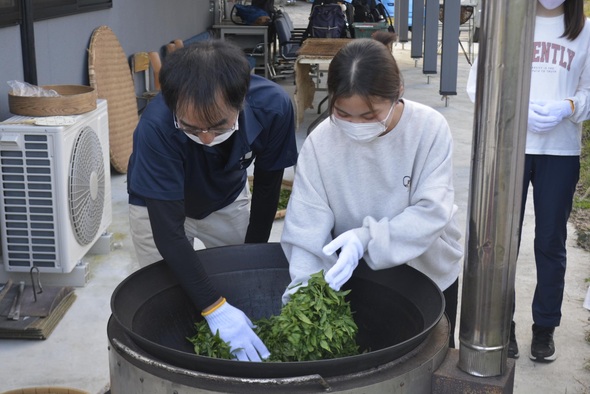 お茶釜炒り体験