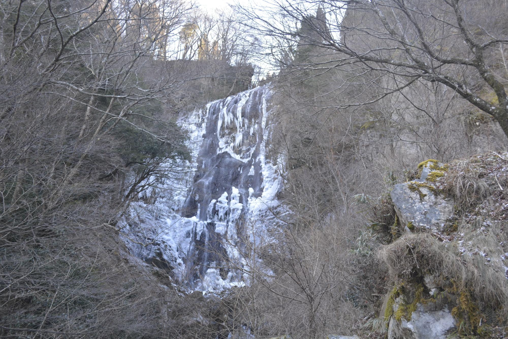 冬の白滝
