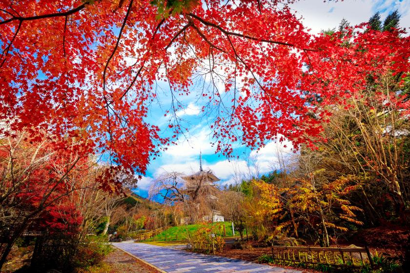 秋の浄専寺