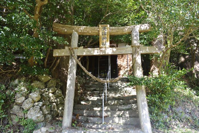 天津神社鳥居