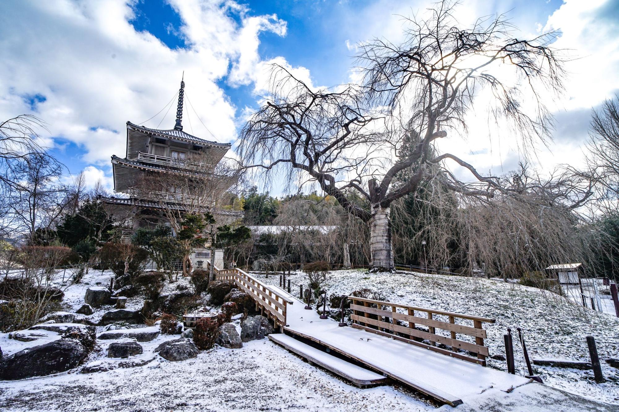 冬の浄専寺