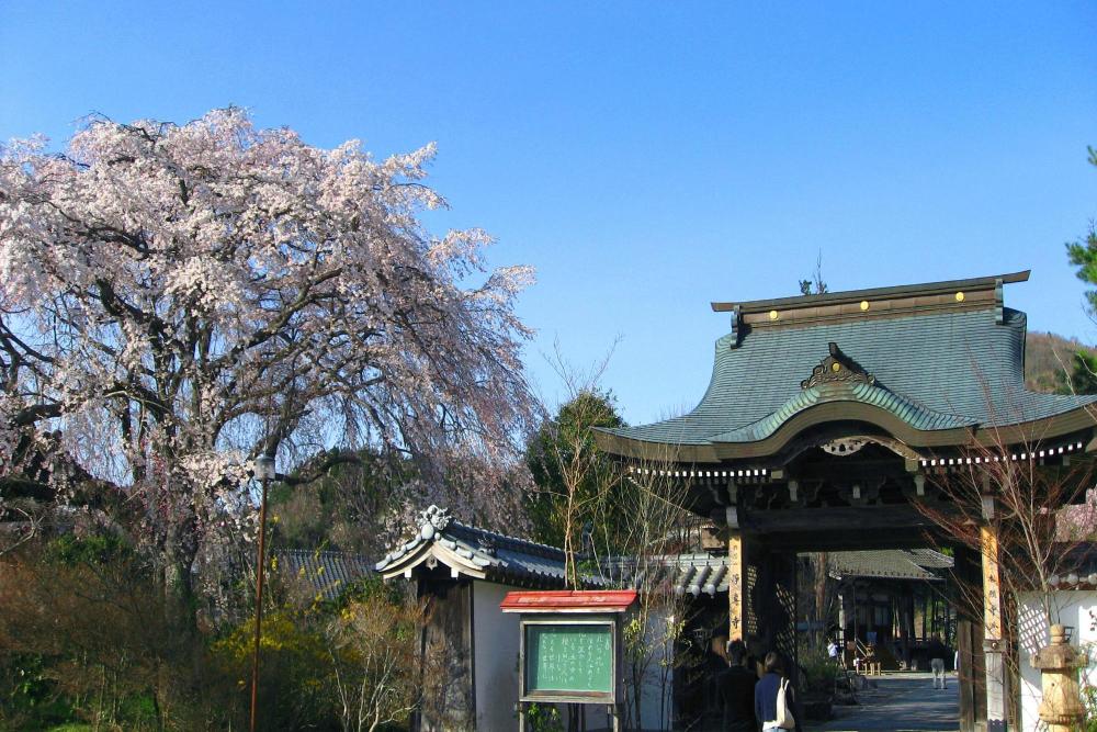 浄専寺