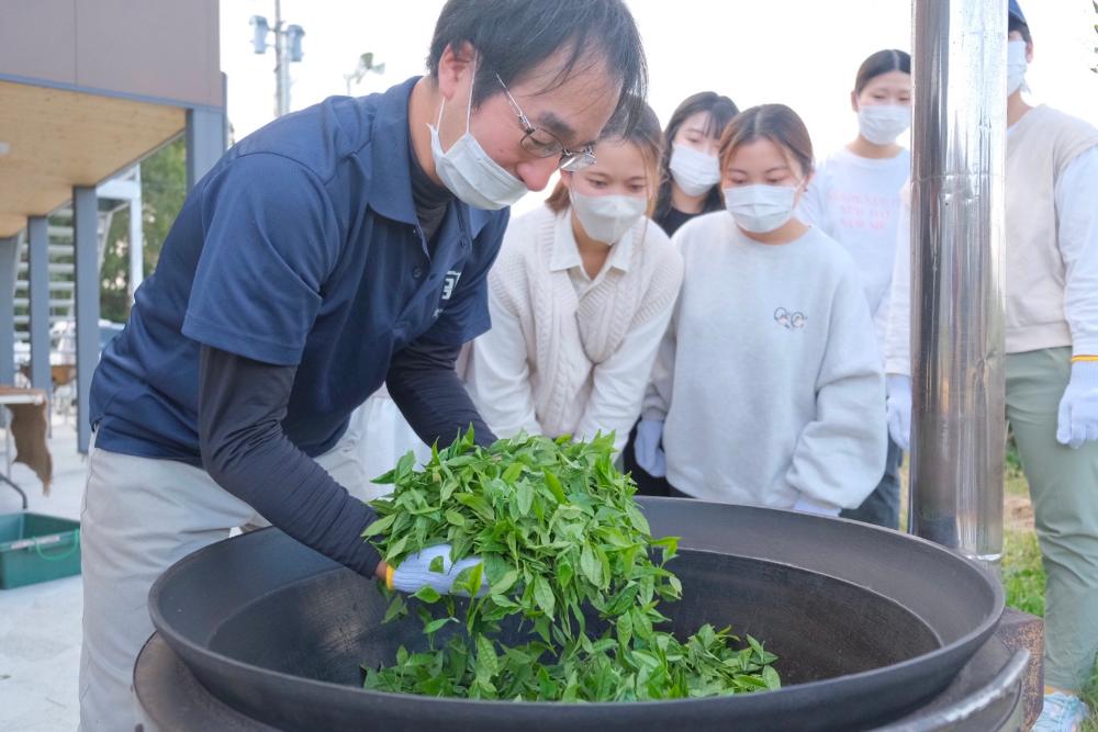 お茶釜炒り体験