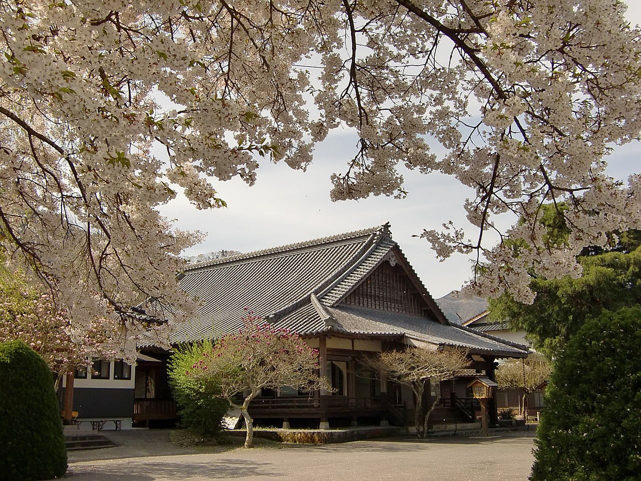 春の金光寺