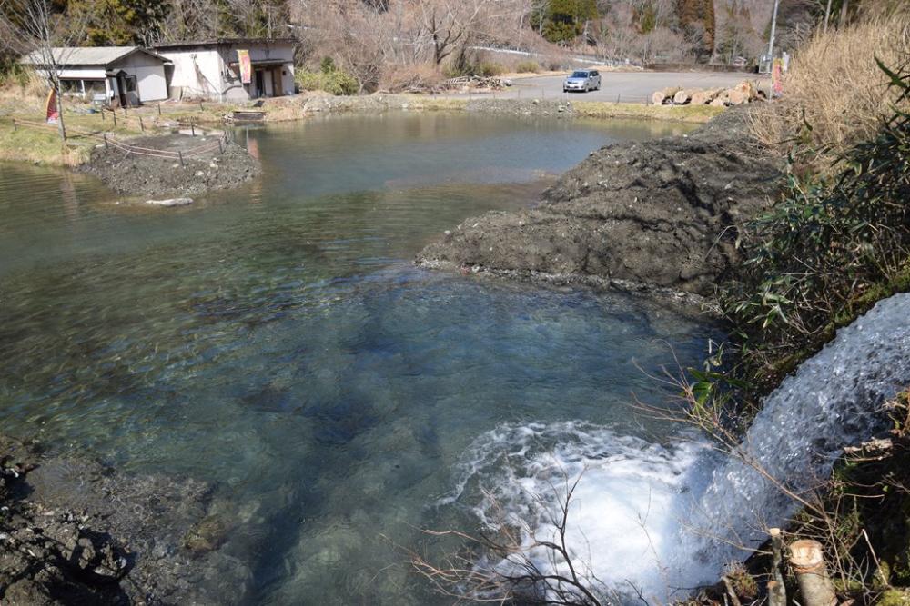 やまめ釣り堀