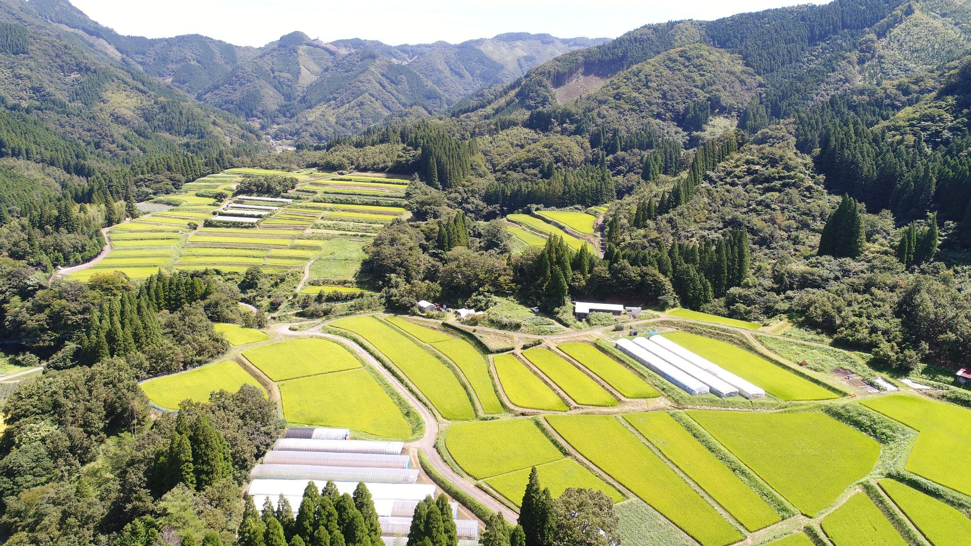 下の原棚田